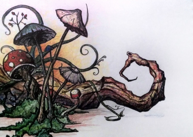 Mushroom drawing.